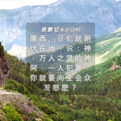 Picture 04 - 民 数 记 16:22 CUVS - 摩 西 、 亚 伦 就 俯 伏 在 地 ， 说 - Bible Verse Picture