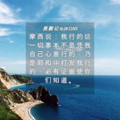 Picture 04 - 民 数 记 16:28 CUVS - 摩 西 说 ： 我 行 的 这 一 切 事 本 - Bible Verse Picture
