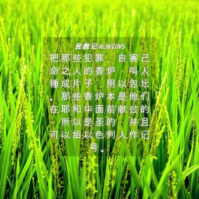 Picture 04 - 民 数 记 16:38 CUVS - 把 那 些 犯 罪 、 自 害 己 命 之 人 - Bible Verse Picture