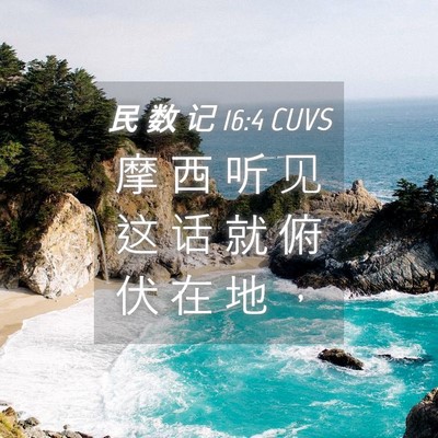 Picture 04 - 民 数 记 16:4 CUVS - 摩 西 听 见 这 话 就 俯 伏 在 地 - Bible Verse Picture