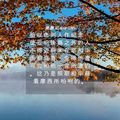Picture 04 - 民 数 记 16:40 CUVS - 给 以 色 列 人 作 纪 念 ， 使 亚 伦 - Bible Verse Picture