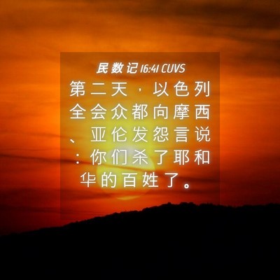 Picture 04 - 民 数 记 16:41 CUVS - 第 二 天 ， 以 色 列 全 会 众 都 向 - Bible Verse Picture
