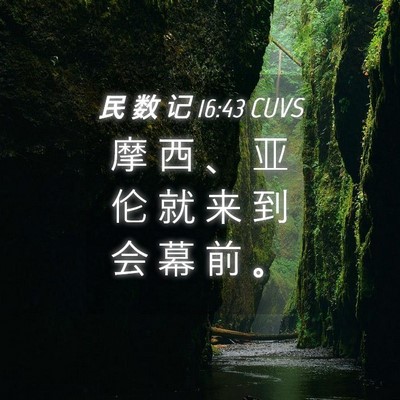 Picture 04 - 民 数 记 16:43 CUVS - 摩 西 、 亚 伦 就 来 到 会 幕 前 - Bible Verse Picture