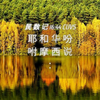 Picture 04 - 民 数 记 16:44 CUVS - 耶 和 华 吩 咐 摩 西 说 - Bible Verse Picture