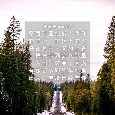 Picture 04 - 民 数 记 16:46 CUVS - 摩 西 对 亚 伦 说 ： 拿 你 的 香 炉 - Bible Verse Picture