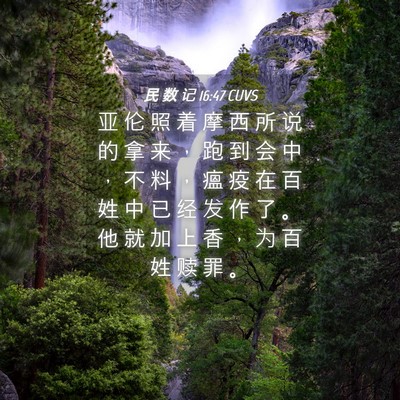 Picture 04 - 民 数 记 16:47 CUVS - 亚 伦 照 着 摩 西 所 说 的 拿 来 ， - Bible Verse Picture