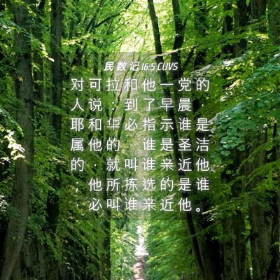 Picture 04 - 民 数 记 16:5 CUVS - 对 可 拉 和 他 一 党 的 人 说 ： 到 - Bible Verse Picture