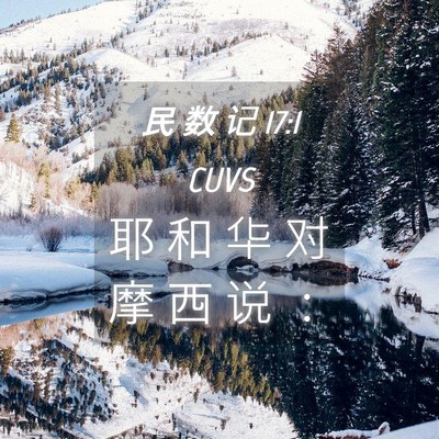 Picture 04 - 民 数 记 17:1 CUVS - 耶 和 华 对 摩 西 说 - Bible Verse Picture