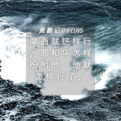 Picture 04 - 民 数 记 17:11 CUVS - 摩 西 就 这 样 行 。 耶 和 华 怎 样 - Bible Verse Picture