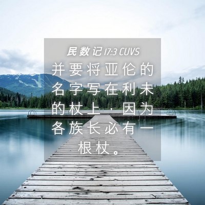 Picture 04 - 民 数 记 17:3 CUVS - 并 要 将 亚 伦 的 名 字 写 在 利 未 - Bible Verse Picture