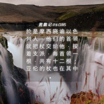 Picture 04 - 民 数 记 17:6 CUVS - 於 是 摩 西 晓 谕 以 色 列 人 ， 他 - Bible Verse Picture