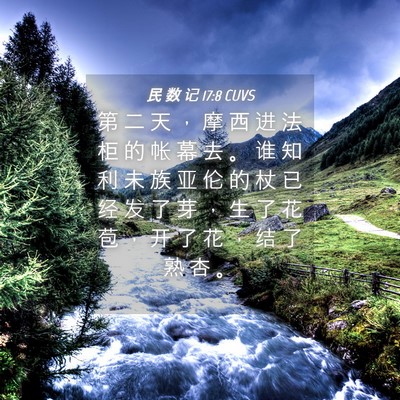 Picture 04 - 民 数 记 17:8 CUVS - 第 二 天 ， 摩 西 进 法 柜 的 帐 幕 - Bible Verse Picture