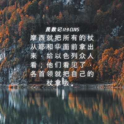 Picture 04 - 民 数 记 17:9 CUVS - 摩 西 就 把 所 有 的 杖 从 耶 和 华 - Bible Verse Picture