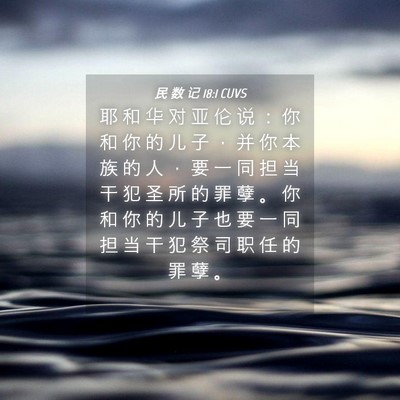Picture 04 - 民 数 记 18:1 CUVS - 耶 和 华 对 亚 伦 说 ： 你 和 你 的 - Bible Verse Picture