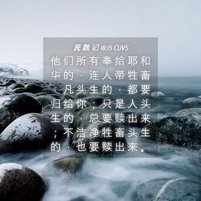 Picture 04 - 民 数 记 18:15 CUVS - 他 们 所 有 奉 给 耶 和 华 的 ， 连 - Bible Verse Picture