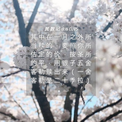 Picture 04 - 民 数 记 18:16 CUVS - 其 中 在 一 月 之 外 所 当 赎 的 ， - Bible Verse Picture