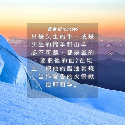 Picture 04 - 民 数 记 18:17 CUVS - 只 是 头 生 的 牛 ， 或 是 头 生 的 - Bible Verse Picture
