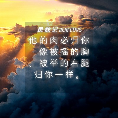 Picture 04 - 民 数 记 18:18 CUVS - 他 的 肉 必 归 你 ， 像 被 摇 的 胸 - Bible Verse Picture
