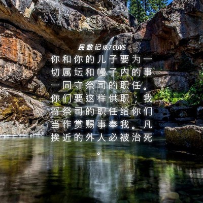 Picture 04 - 民 数 记 18:7 CUVS - 你 和 你 的 儿 子 要 为 一 切 属 坛 - Bible Verse Picture