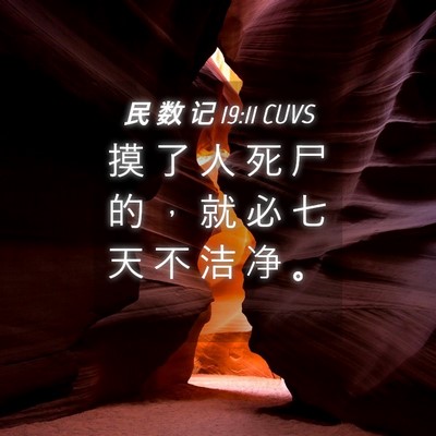 Picture 04 - 民 数 记 19:11 CUVS - 摸 了 人 死 尸 的 ， 就 必 七 天 不 - Bible Verse Picture