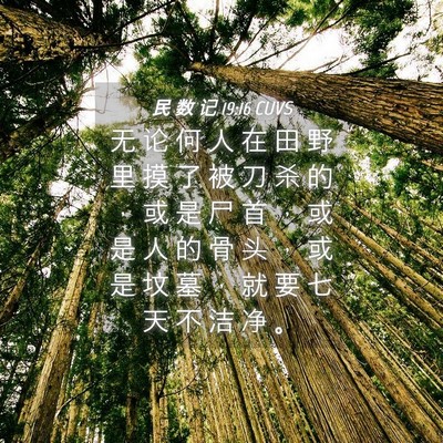 Picture 04 - 民 数 记 19:16 CUVS - 无 论 何 人 在 田 野 里 摸 了 被 刀 - Bible Verse Picture