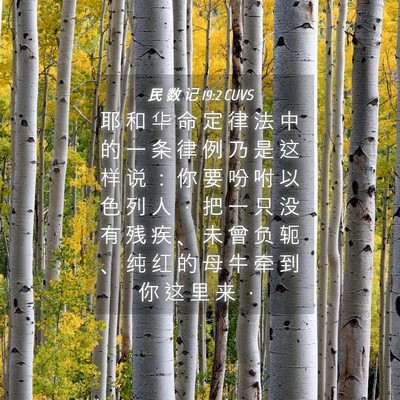 Picture 04 - 民 数 记 19:2 CUVS - 耶 和 华 命 定 律 法 中 的 一 条 律 - Bible Verse Picture
