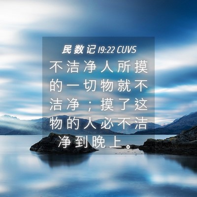 Picture 04 - 民 数 记 19:22 CUVS - 不 洁 净 人 所 摸 的 一 切 物 就 不 - Bible Verse Picture