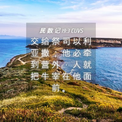 Picture 04 - 民 数 记 19:3 CUVS - 交 给 祭 司 以 利 亚 撒 ； 他 必 牵 - Bible Verse Picture