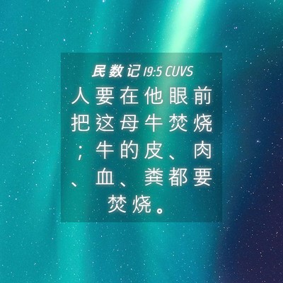 Picture 04 - 民 数 记 19:5 CUVS - 人 要 在 他 眼 前 把 这 母 牛 焚 烧 - Bible Verse Picture
