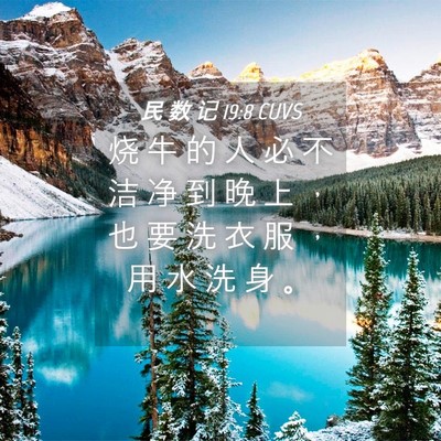 Picture 04 - 民 数 记 19:8 CUVS - 烧 牛 的 人 必 不 洁 净 到 晚 上 ， - Bible Verse Picture