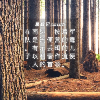 Picture 04 - 民 数 记 2:10 CUVS - 在 南 边 ， 按 着 军 队 是 流 便 营 - Bible Verse Picture