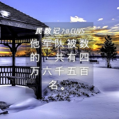 Picture 04 - 民 数 记 2:11 CUVS - 他 军 队 被 数 的 ， 共 有 四 万 六 - Bible Verse Picture