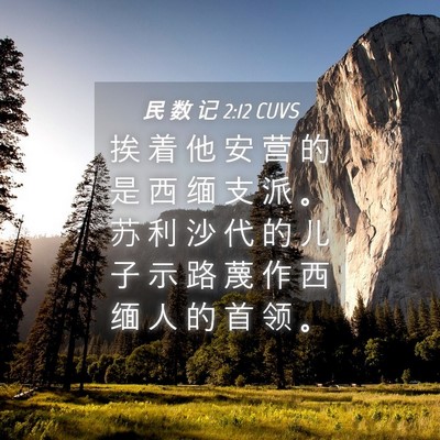 Picture 04 - 民 数 记 2:12 CUVS - 挨 着 他 安 营 的 是 西 缅 支 派 。 - Bible Verse Picture