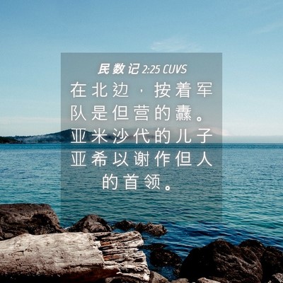 Picture 04 - 民 数 记 2:25 CUVS - 在 北 边 ， 按 着 军 队 是 但 营 的 - Bible Verse Picture