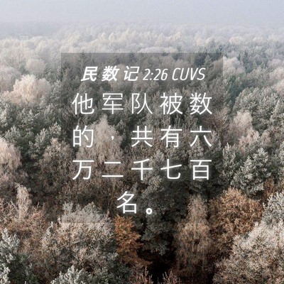 Picture 04 - 民 数 记 2:26 CUVS - 他 军 队 被 数 的 ， 共 有 六 万 二 - Bible Verse Picture
