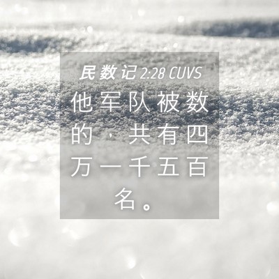 Picture 04 - 民 数 记 2:28 CUVS - 他 军 队 被 数 的 ， 共 有 四 万 一 - Bible Verse Picture