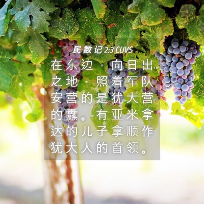 Picture 04 - 民 数 记 2:3 CUVS - 在 东 边 ， 向 日 出 之 地 ， 照 着 - Bible Verse Picture