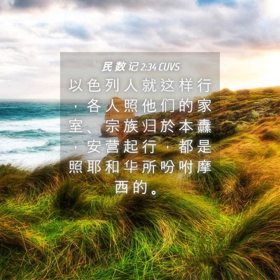 Picture 04 - 民 数 记 2:34 CUVS - 以 色 列 人 就 这 样 行 ， 各 人 照 - Bible Verse Picture