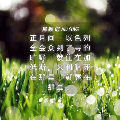 Picture 04 - 民 数 记 20:1 CUVS - 正 月 间 ， 以 色 列 全 会 众 到 了 - Bible Verse Picture