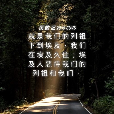 Picture 04 - 民 数 记 20:15 CUVS - 就 是 我 们 的 列 祖 下 到 埃 及 ， - Bible Verse Picture