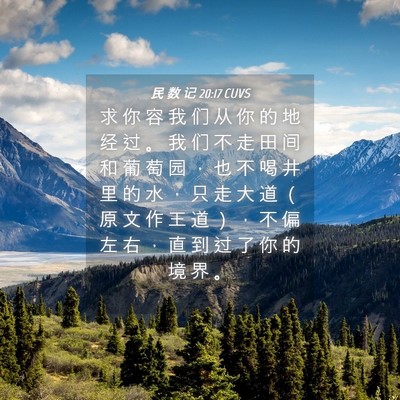 Picture 04 - 民 数 记 20:17 CUVS - 求 你 容 我 们 从 你 的 地 经 过 。 - Bible Verse Picture