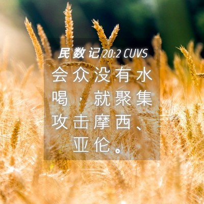 Picture 04 - 民 数 记 20:2 CUVS - 会 众 没 有 水 喝 ， 就 聚 集 攻 击 - Bible Verse Picture