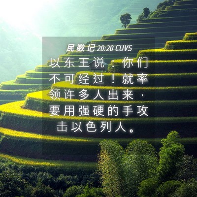 Picture 04 - 民 数 记 20:20 CUVS - 以 东 王 说 ： 你 们 不 可 经 过 ！ - Bible Verse Picture