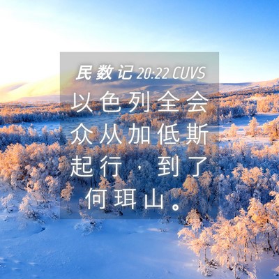 Picture 04 - 民 数 记 20:22 CUVS - 以 色 列 全 会 众 从 加 低 斯 起 行 - Bible Verse Picture