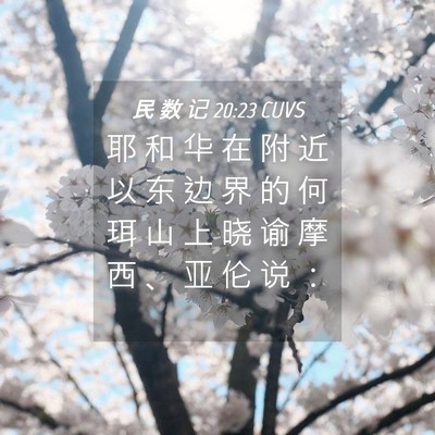 Picture 04 - 民 数 记 20:23 CUVS - 耶 和 华 在 附 近 以 东 边 界 的 何 - Bible Verse Picture