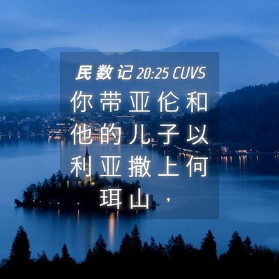 Picture 04 - 民 数 记 20:25 CUVS - 你 带 亚 伦 和 他 的 儿 子 以 利 亚 - Bible Verse Picture