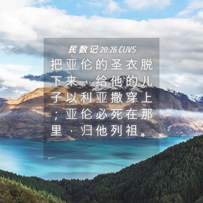 Picture 04 - 民 数 记 20:26 CUVS - 把 亚 伦 的 圣 衣 脱 下 来 ， 给 他 - Bible Verse Picture