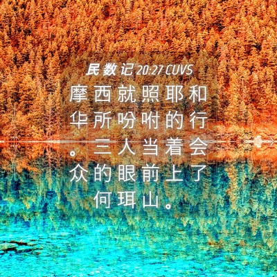 Picture 04 - 民 数 记 20:27 CUVS - 摩 西 就 照 耶 和 华 所 吩 咐 的 行 - Bible Verse Picture