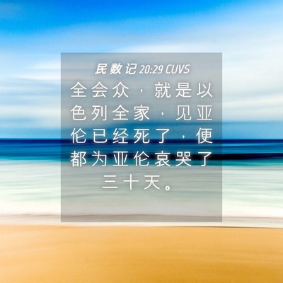 Picture 04 - 民 数 记 20:29 CUVS - 全 会 众 ， 就 是 以 色 列 全 家 ， - Bible Verse Picture