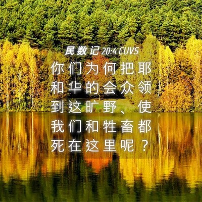 Picture 04 - 民 数 记 20:4 CUVS - 你 们 为 何 把 耶 和 华 的 会 众 领 - Bible Verse Picture
